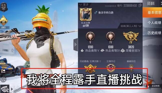 和平精英辅助软件大全